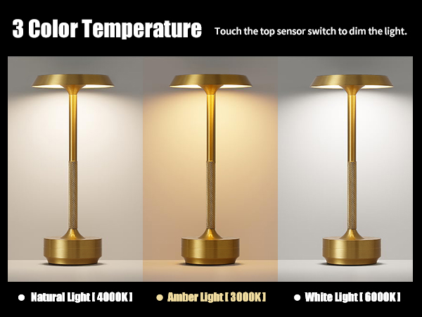 GKKBO Wireless Desk Lamp Rechargeable 5000mAh Battery Powered