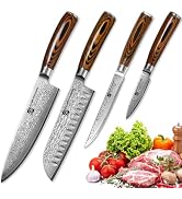 4Pcs Damascus Knife Set, VG10 Steel Core Damascus Kitchen Knife Set with G10 Handle, 8" Chef, 7" ...