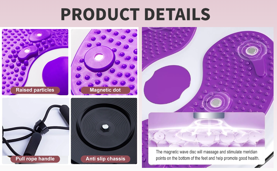 Ab Twist Waist Disc Board