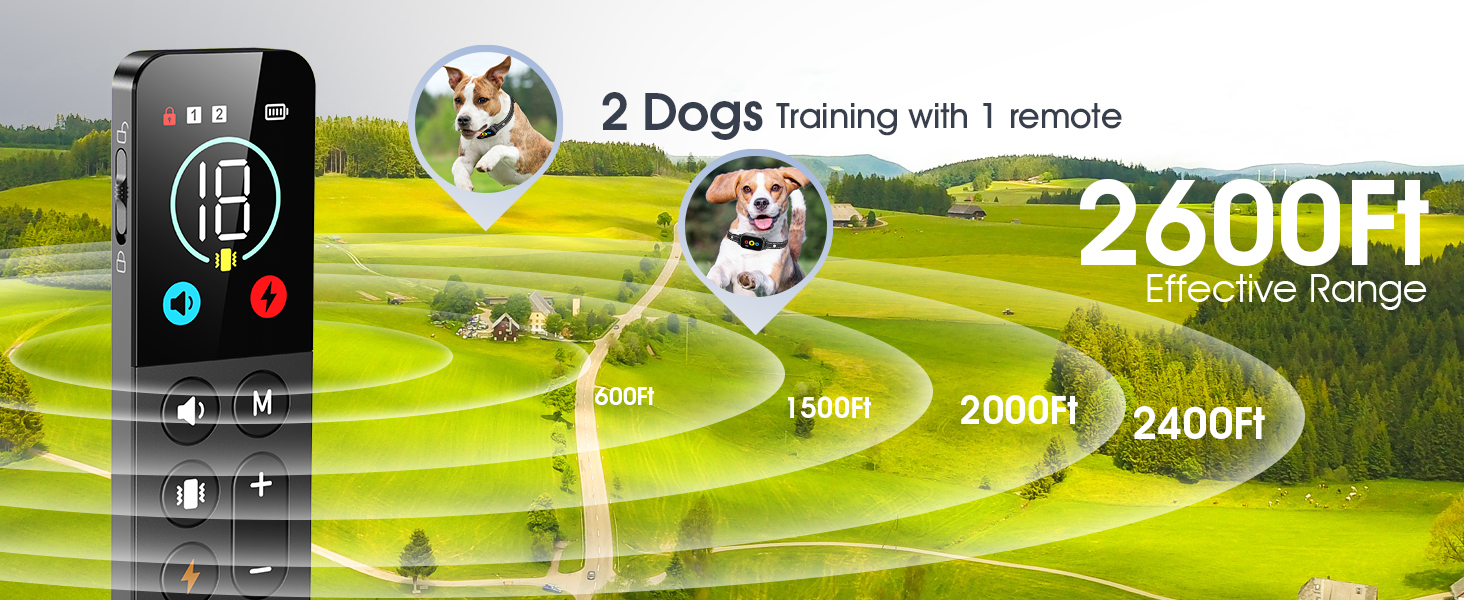 dog shock collar