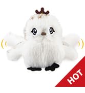 interactive cat toy
