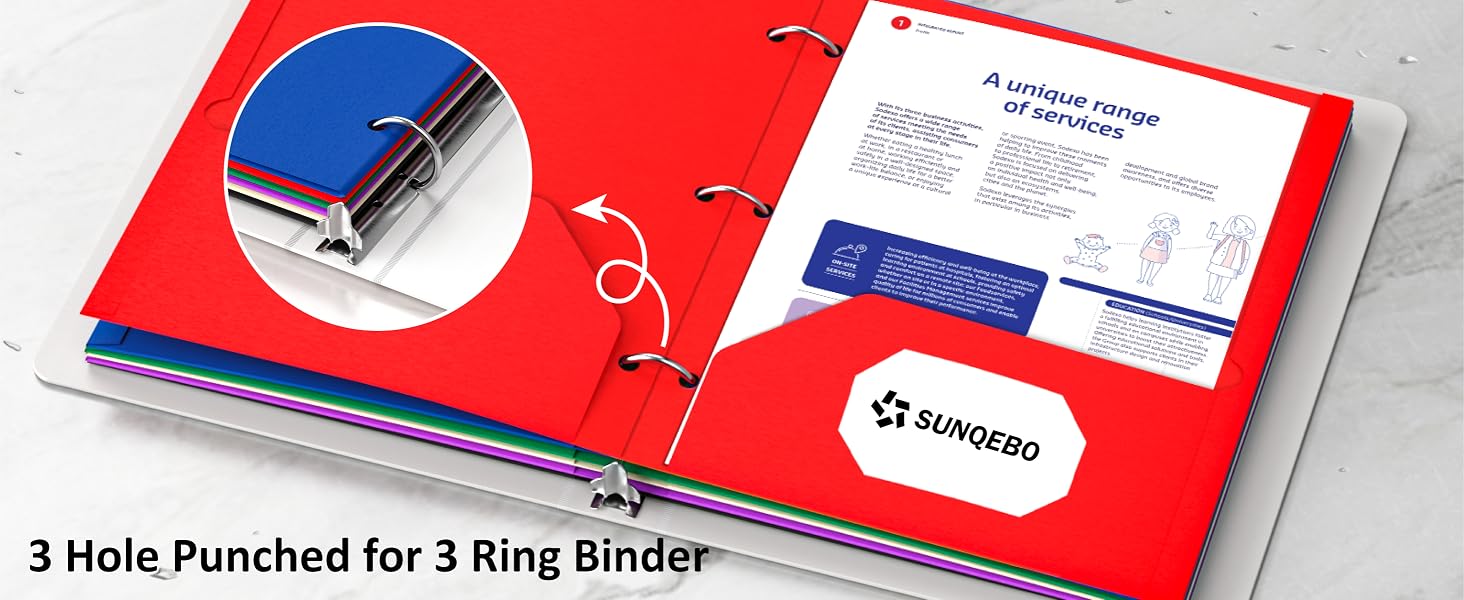 3 Hole Punched folders