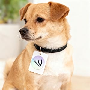 ntag 215 nfc tags_nfc tag_nfc tags_nfc stickers_ntag 215 nfc