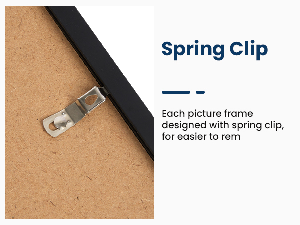 Spring Clip