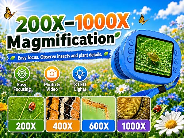 200X-1000X Magmification