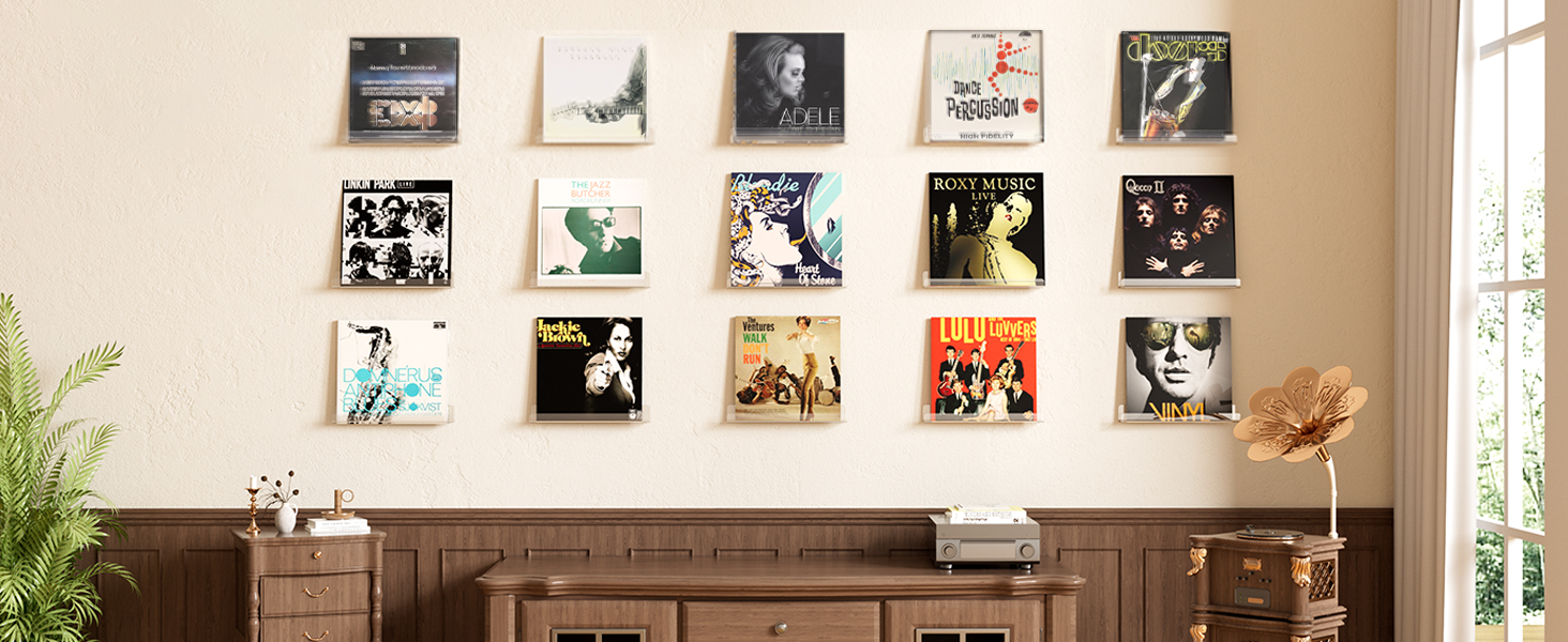 vinyl shelves