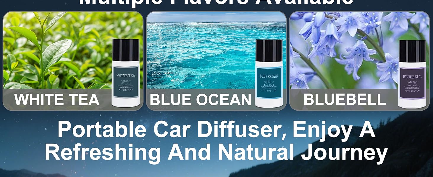 car diffuser -6