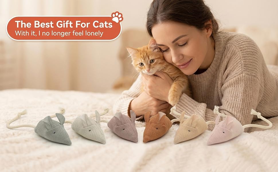 The Best Gift For Cats With it,I no longer feel lonely