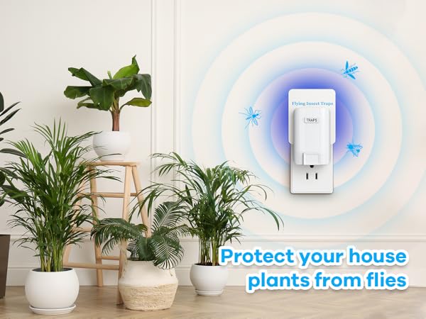 Efficient Fly Control