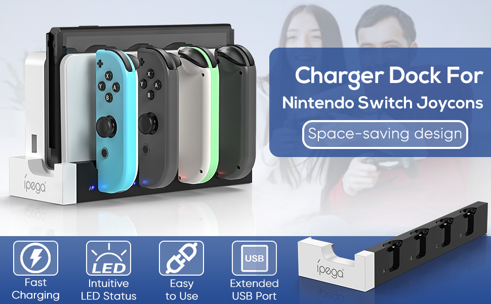 switch charger