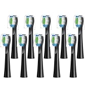 Replacement Toothbrush Heads 10 Pack Compatible with Bitvae Daily D2 Rechargeable Toothbrush, D2 ...