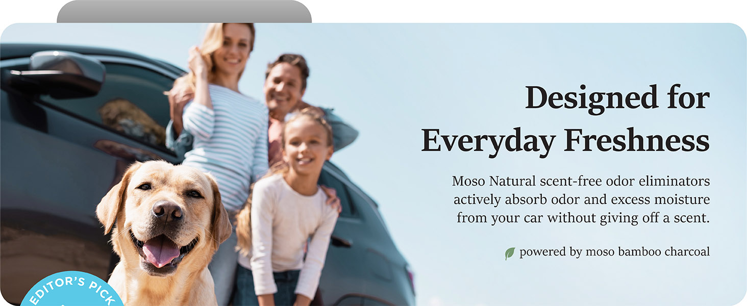 Moso Natural charcoal odor absorber car bag bamboo air purifying truck SUV RV boat deodorizer