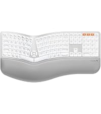 https://m.media-amazon.com/images/I/31Z1xwT6cFL.__AC_SR200,225___.jpg