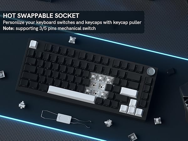 Hot-Swappable Custom Gaming Keyboard
