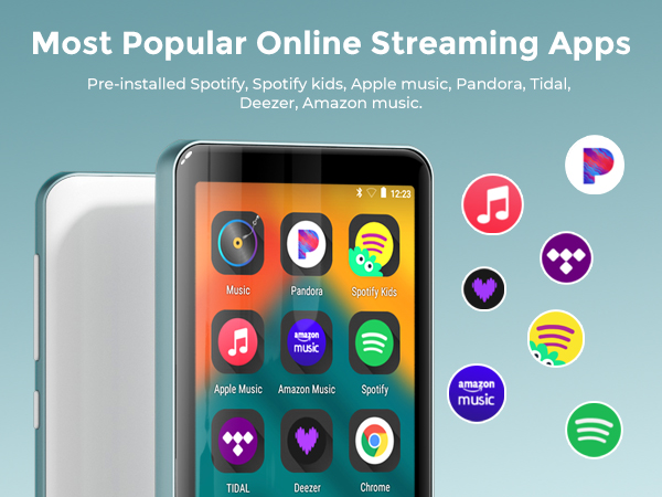 mp3 player with bluetooth and wifi