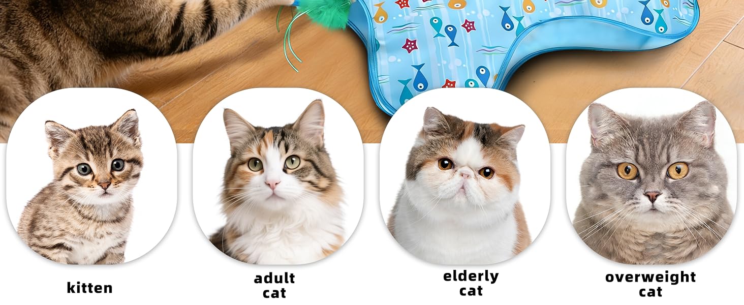 Interactive Cat Toy, Peek-a-Boo Series – Hidden Feather Wand, Rechargeable Indoor Hunting Toy