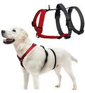 PUPTECK Escape Proof Dog Harness - No Pull Soft Padded Full Body Pet Halter Harness with Lift Han...