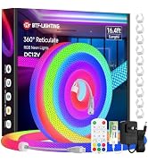 BTF-LIGHTING Neon LED Rope Light Kit 12VDC,16.4FT,WS2812B WS2811 Addressable IC RGB 360 Degree Ro...