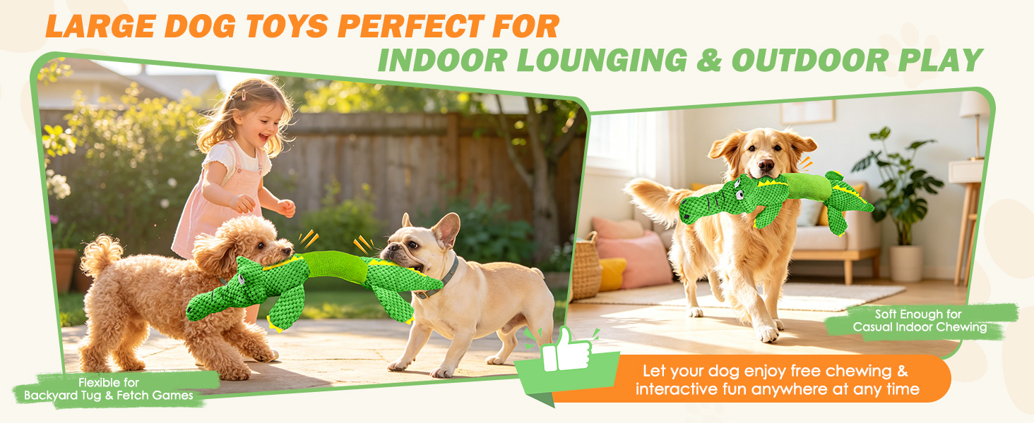 outdoor dog toys