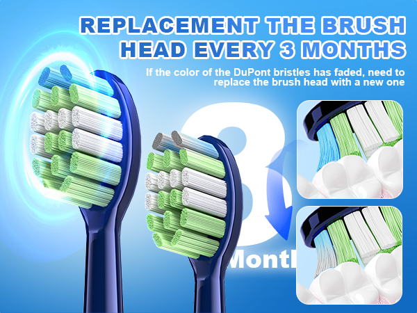 Electric Toothbrush