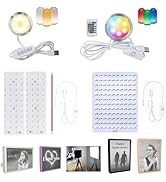 BambooSegD LED Lamp Kit 001 (RGB & Three Color) & CMYK LED Backlight Board Kit FAZ007 & Lithophan...