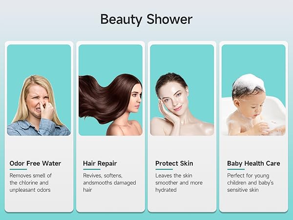 shower head with filters