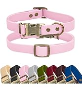Wisedog Rubber Dog Collar for Medium Dogs - Waterproof Dog Collar with Quick Release Metal Buckle...