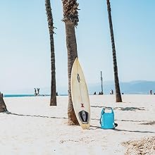 surfing