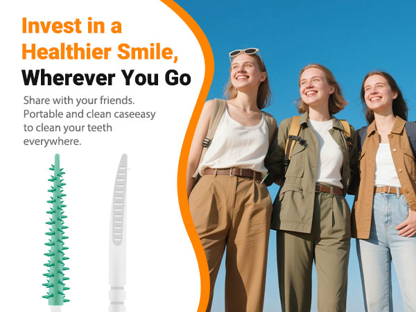 dental picks for teeth cleaning