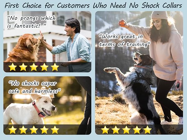vibrating dog collar no shock vibration collar for small dogs vibration collar