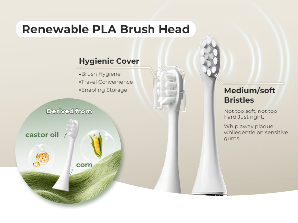 toothbrush replacement heads