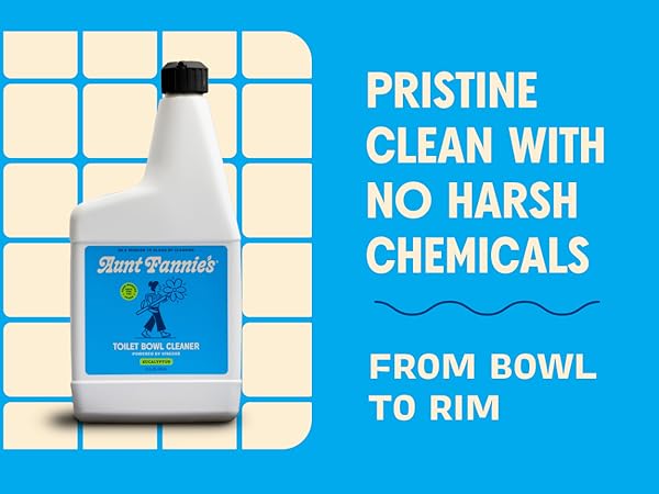 Toilet Bowl Cleaner