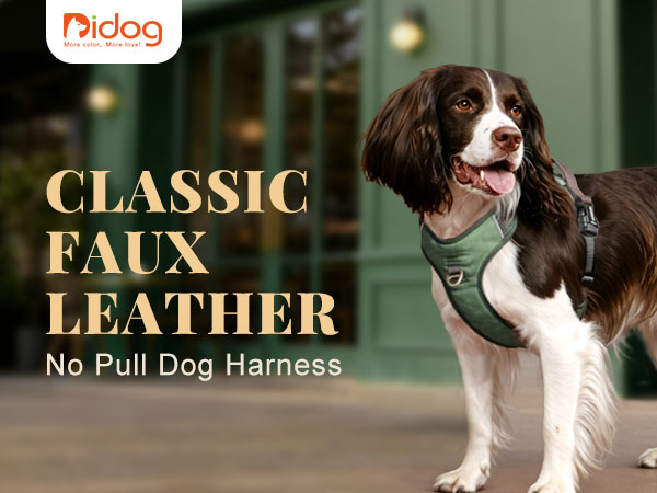 Leather Dog Harness