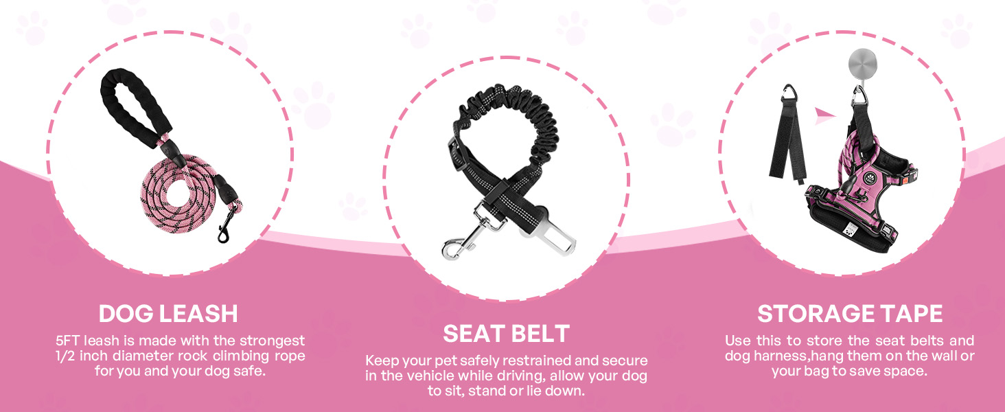 dog harness