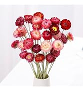 Dried Flowers Bouquet Natural Daisy - 40 PCS Daisies Dried Sunflowers, Dry Flower Arrangements fo...