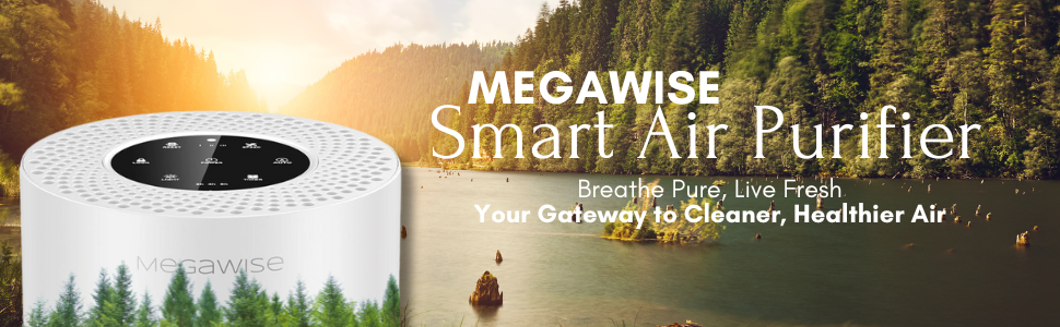 MegaWise Smart Air Purifier for Home Large Room