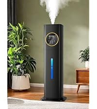 https://m.media-amazon.com/images/I/41nRHDikUuL.__AC_SR200,225___.jpg