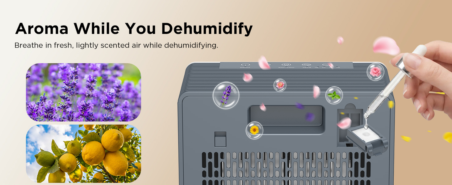 2 in 1 dehumidifier with essential oil diffuser aroma function for home bedroom