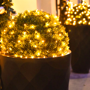 Potted plant with dense, round foliage covered in warm white LED lights. Background shows similar lit decorations, creating a festive atmosphere.