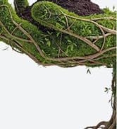 Less Waste More Value Over Time