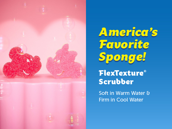 sponge
