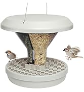 SWISSINNO Bird Feeder Davos Smart Birds. Feed Birds, not Mice & Rodents! Robust & Reliable for Ha...