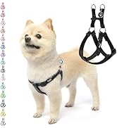 PUPTECK No Pull Dog Harness Soft Adjustable Basic Nylon Step in Puppy Vest Outdoor Walking with I...