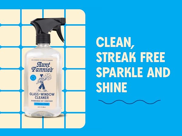 stainless steel cleaner glasses shower window car cleaning supplies windshield all purpose