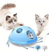 Pawingcat Automaitc Cat String Toy 6 Holes Whack a Mole Cat Toy with Plush Running Cat Mouse Toy ...