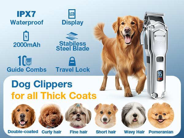 dog grooming