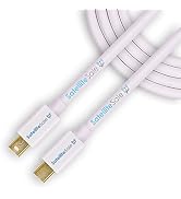SatelliteSale Mini DisplayPort to Mini DisplayPort DP Cable Male to Male (4K/30Hz, 8.64Gbps) PVC ...