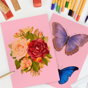 colored copy paper pink