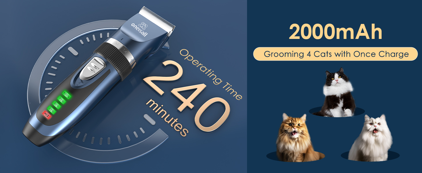 cat grooming kit