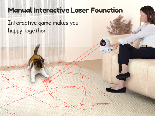interactive cat toy